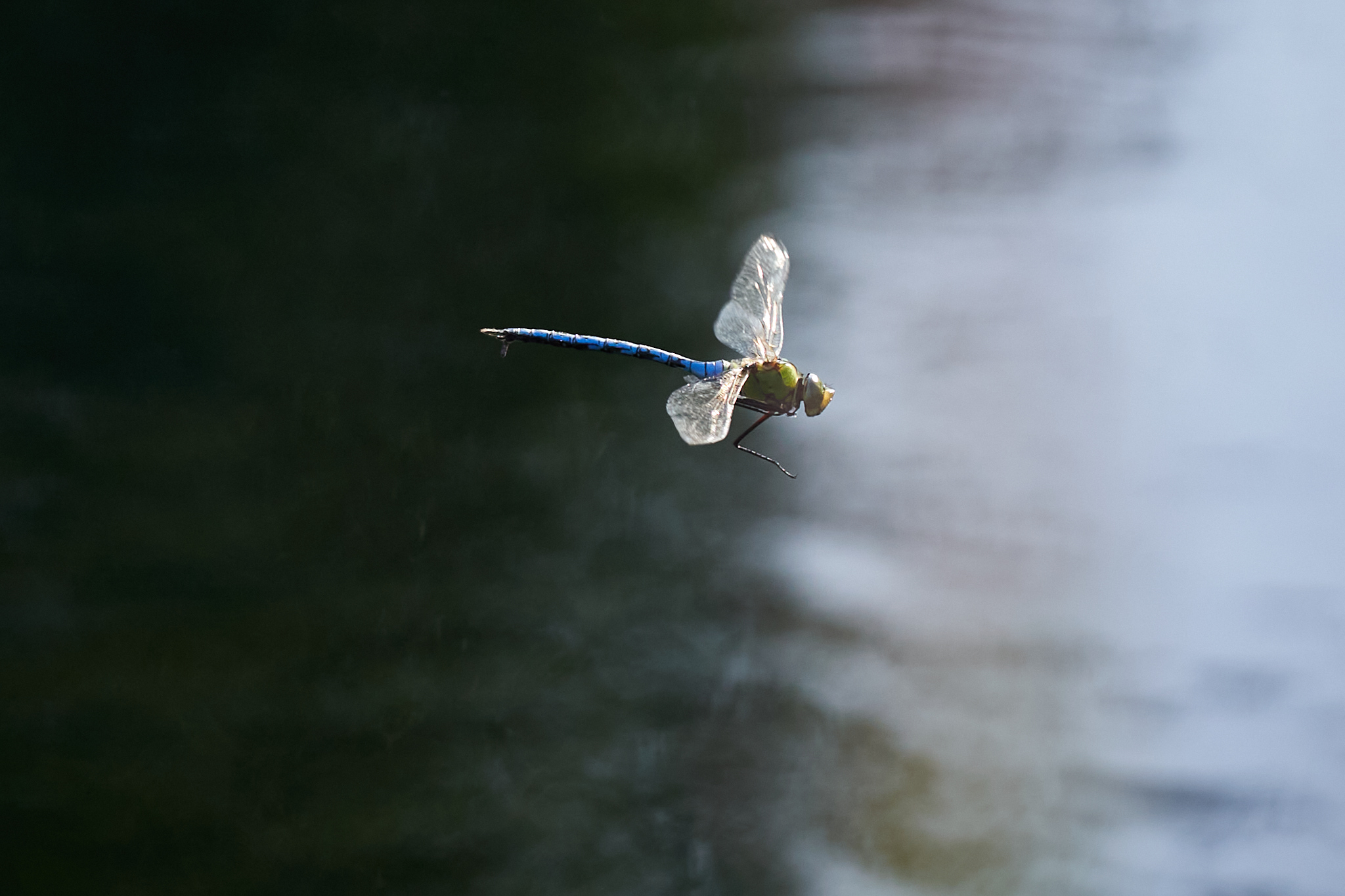 Landschaftspark Nord 0451